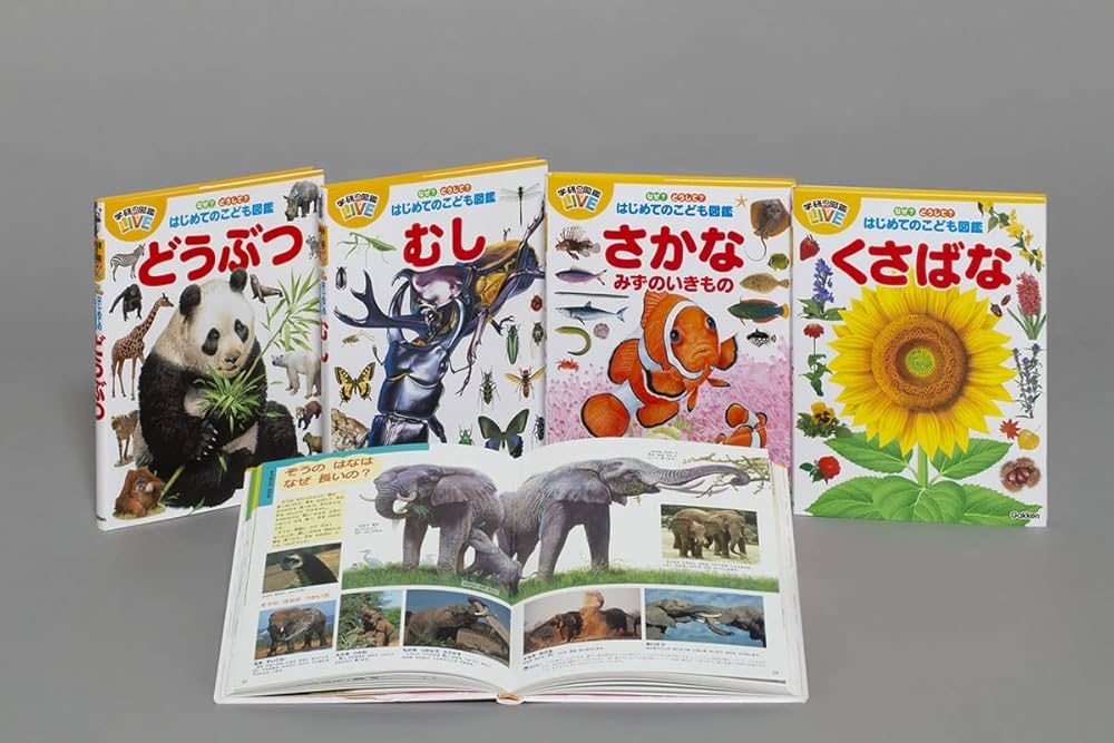 なぜなに学習図鑑 セット売りです SF美術館