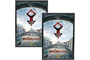 Black Snap Frame 24x36: A Professional Presentation for Your Posters