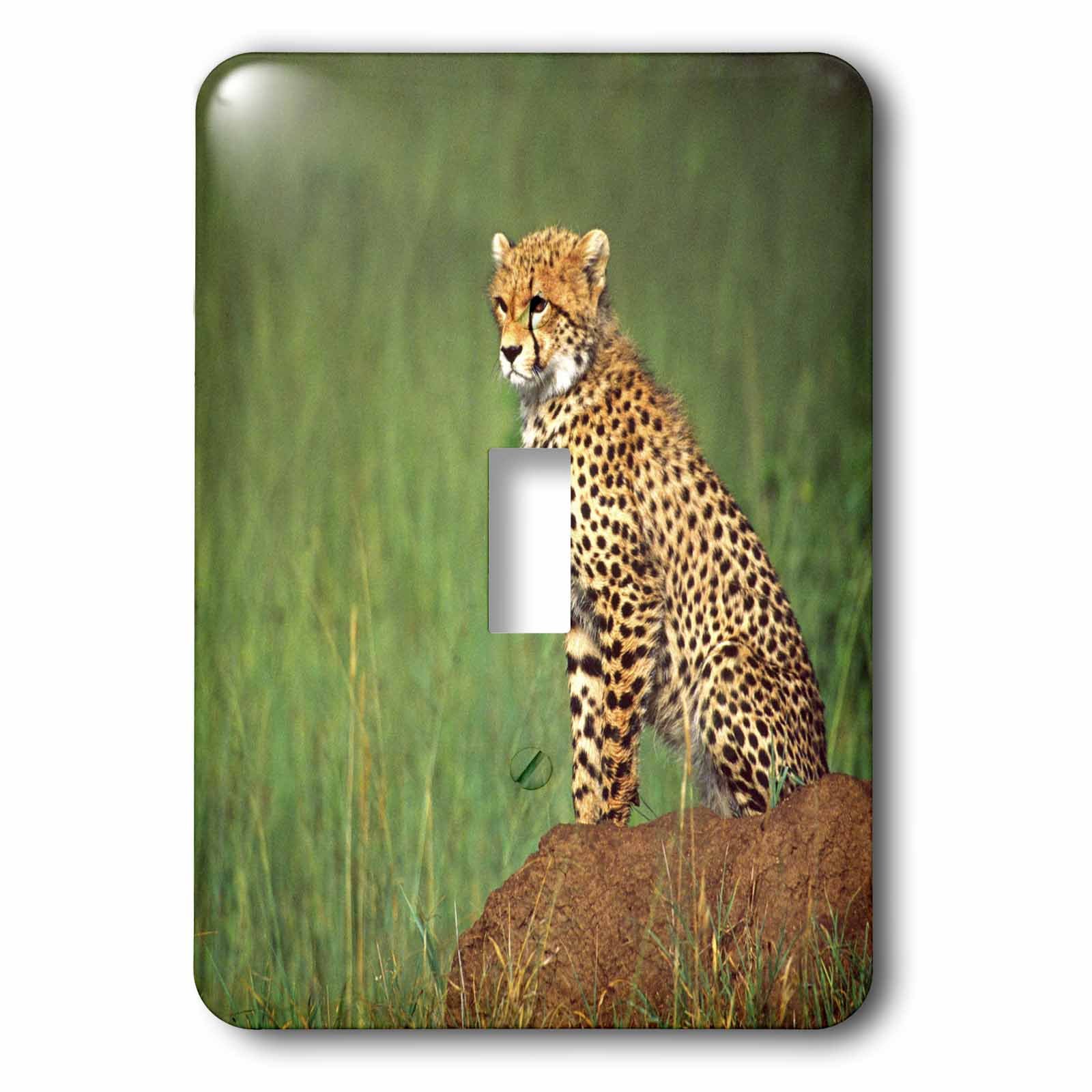 Interrupteur simple 3dRose lsp_83911_1 Cheetah Tanzania Africa David Northcott