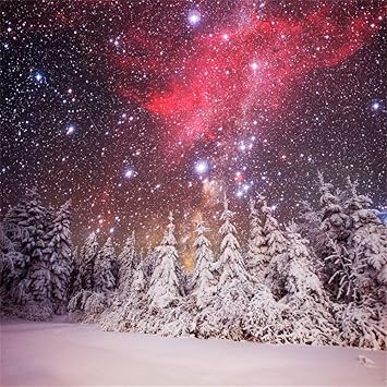 Amazon  AOFOTO 8X8フィート 美しい雪の風景 背景 星 冬 夜 雪 カバン 