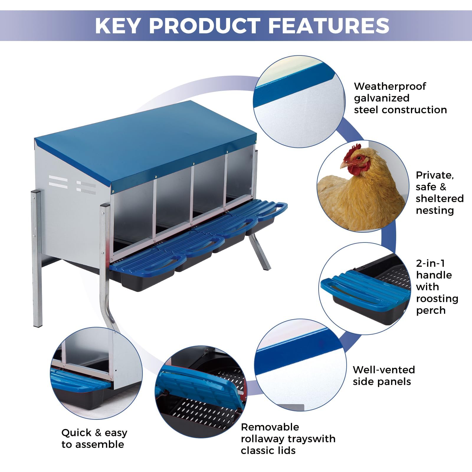Garvee Nido para gallinas ponedoras de 4 Compartimentos con Patas de Soporte, Caja Nido de Acero galvanizado con Recogida de Huevos automática, Techo Azul y bandejas extraíbles para gallinero de