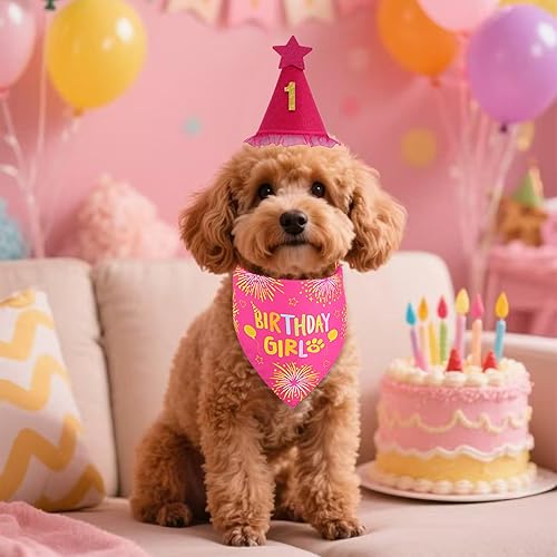 Dog Birthday Decorations Rose Pink, Dog Birthday Party Supplies with Hat Bandana Numbers for Large Medium Girl Pets Puppy(rose pink-set,X-Large)