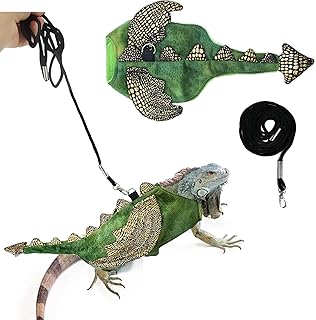 BAMY Halloween Bearded Dragon Dinosaur Costume and 61