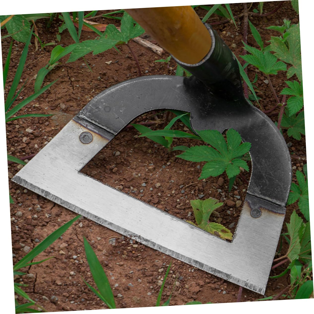 Houe de Jardin en Acier Inoxydable Argenté, Outil de Jardinage Robuste