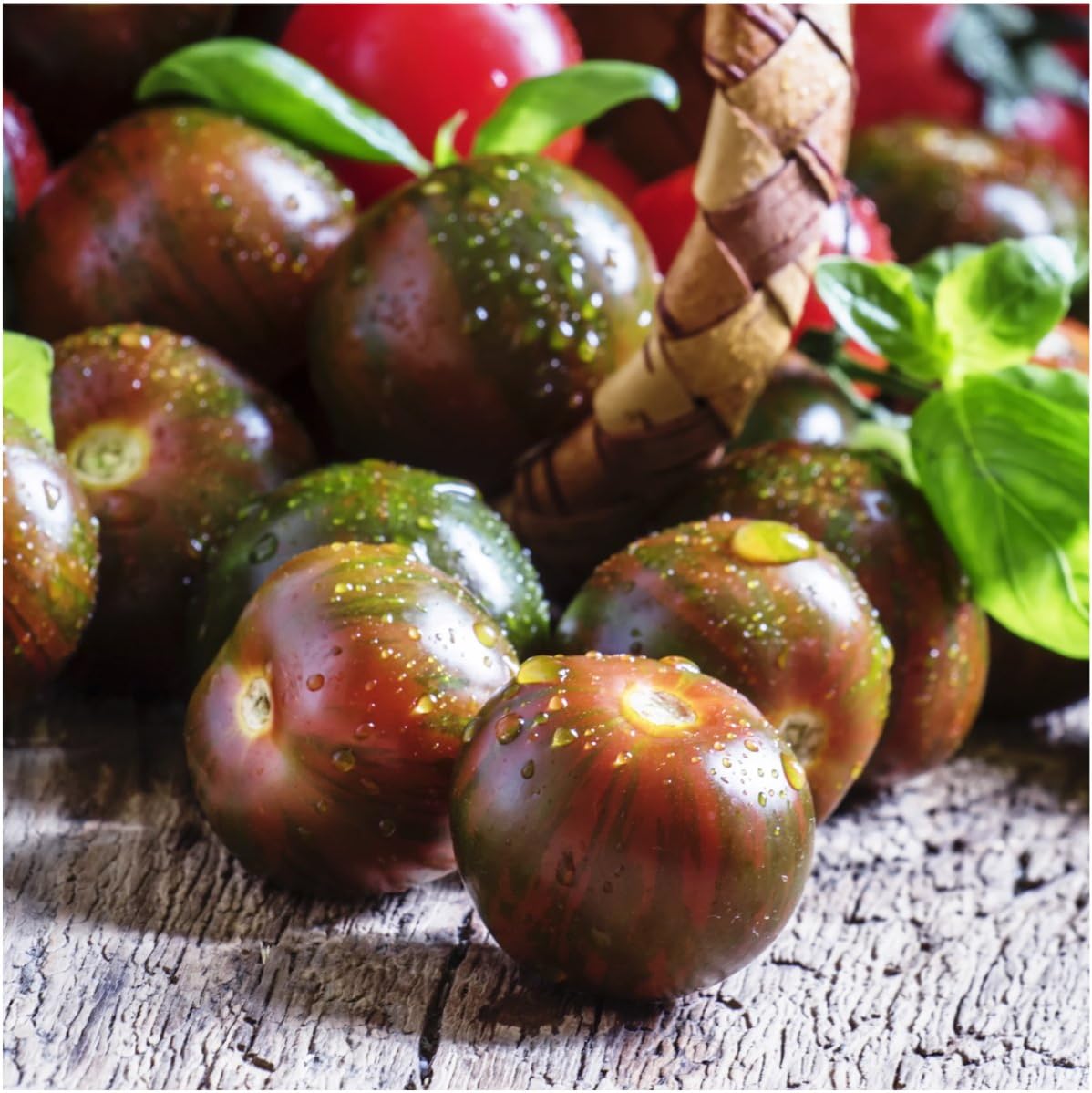Seed Needs, Black Tomato Seed Packet Collection (5 Tomato Seed Varieties for Planting) Non-GMO & Untreated