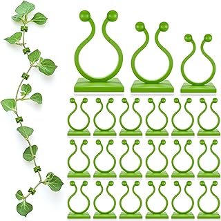 27 Inexpensive Retaining Wall Ideas That Look Surprisingly High-End 6 Plant Wall Clips for Climbing Plants 110 Pcs - Pothos Plant Climber Supp...