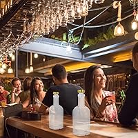 Vista 5 de 2 unids transparente envase botellas de vino transparente mini botellas de bourbon decantador de vidrio vacío decantador ron ginebra recipiente