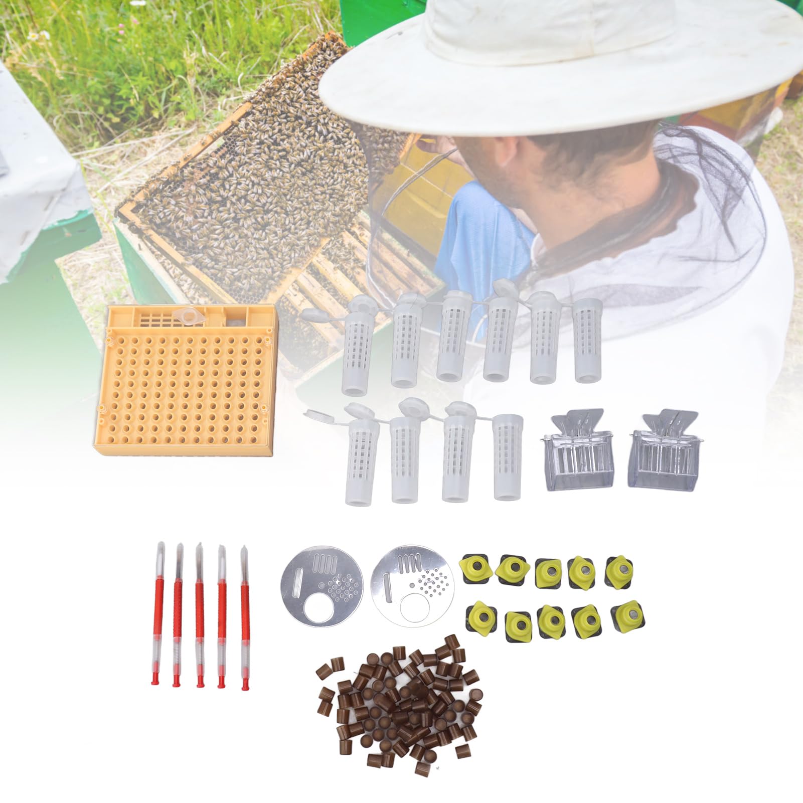 Syst¨¨me D'¨¦Leva de Reine en Plastique, Kit D'apiculture, Fournitures de Greffa de Reine pour Apiculteurs