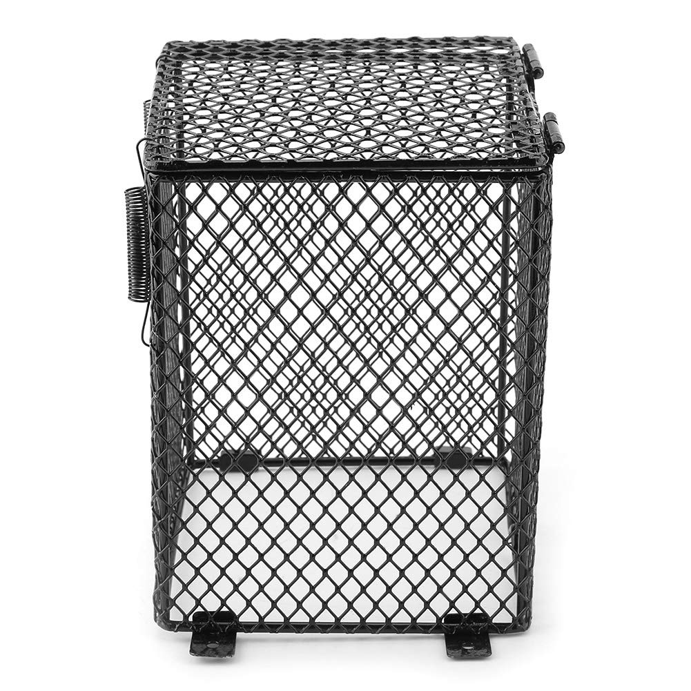 Coperchio lampada rettile, paralume rettile paralume in ceramica supporto lampada riscaldante per ragni scorpioni lucertole(Cubiod)