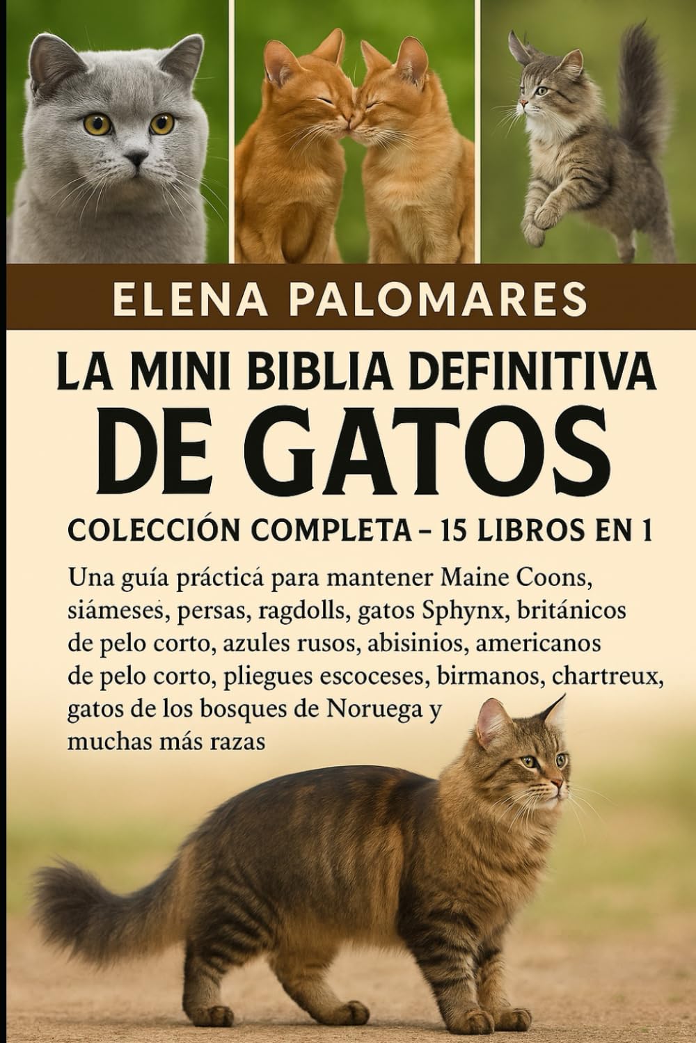 LA MINI BIBLIA DEFINITIVA DE GATOS: COLECCIÓN COMPLETA - 15 LIBROS EN 1: Una guía práctica para mantener Maine Coons, siameses, persas, ragdolls, ... rusos, abisinios, americanos de pelo corto...