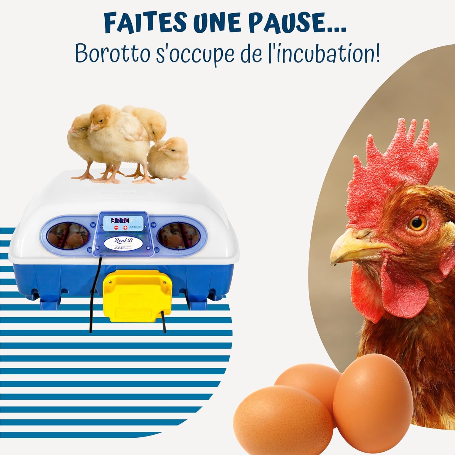Borotto Real 49 Automatique | Couveuse Oeuf Automatique 49 ou 196 Petit avec Retournement Automatique et Contrôle de la Température | Made in Italy