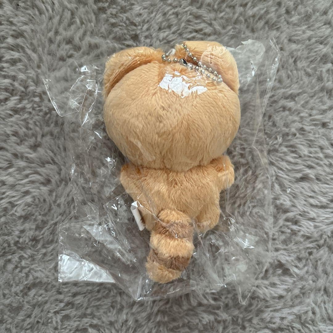 Amazon.co.jp: ZB1 ゼベワン ジャンハオ ぬいぐるみ 10cm ??? : おもちゃ