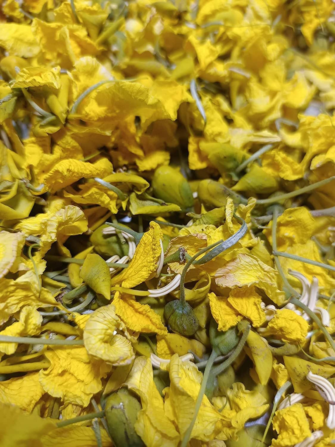 Dried Avarampoo Flower /Aavartaki /Tarwarm raw - 250 GMS Pack of 1 (B0BZ48F8L7) Amazon Price History, Amazon Price Tracker