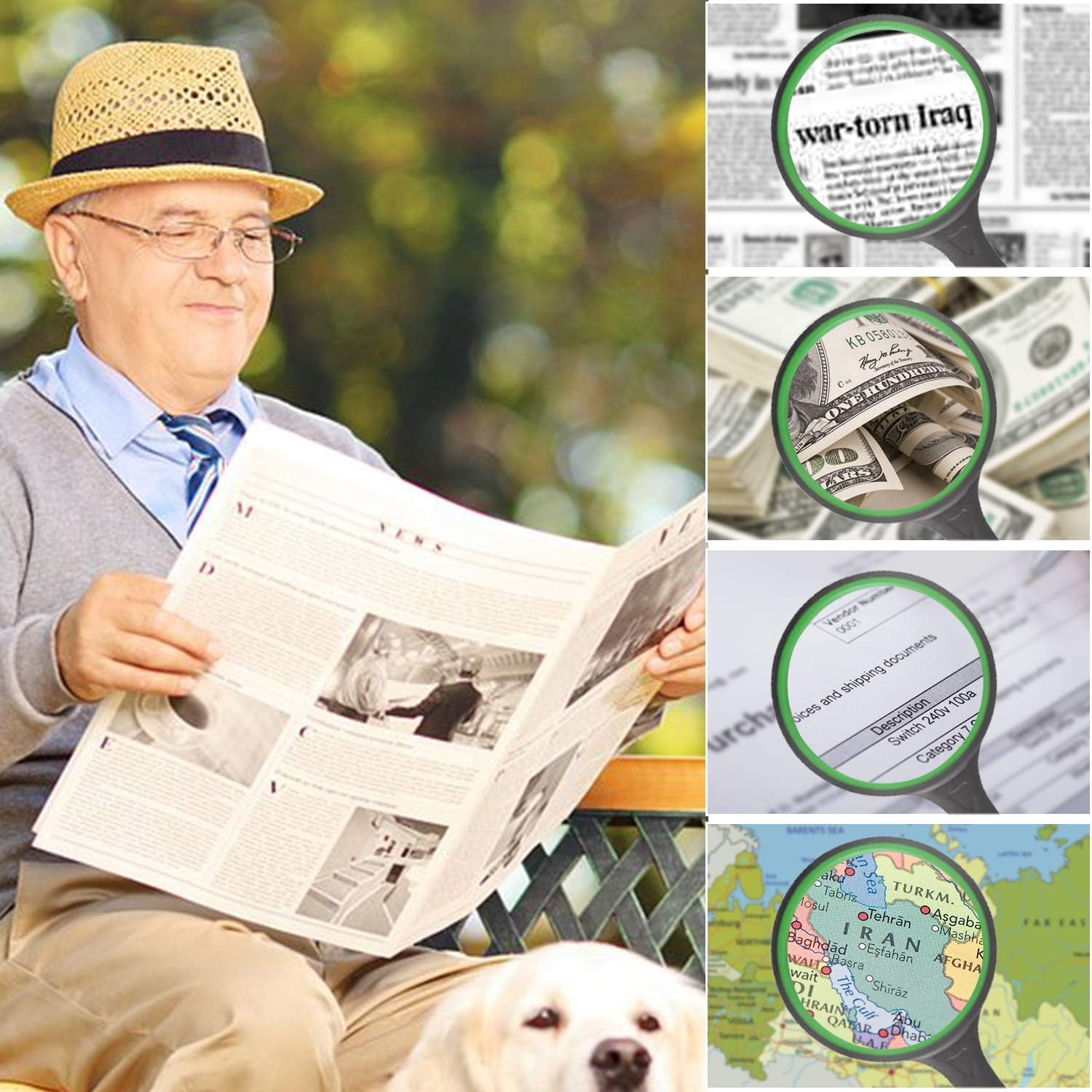 IAMGlobal 10X Magnifying Glass, Handheld Reading Magnifier, 75mm Magnifying Glass Lens, Thickened Rubbery Frame with Non-Slip Soft Handle for Newspaper Reading, Insect, Science for Seniors Kids(2 Pc)
