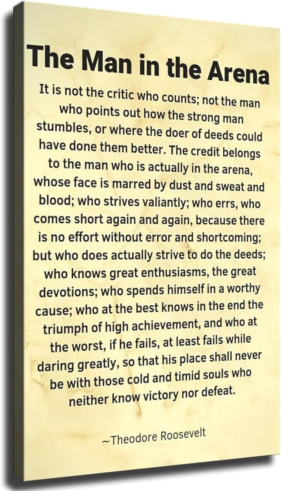FOPURE Theodore Roosevelt Quote The Man in the Arena Motivational Wall-Art Decor for Office Home Gym Living Room