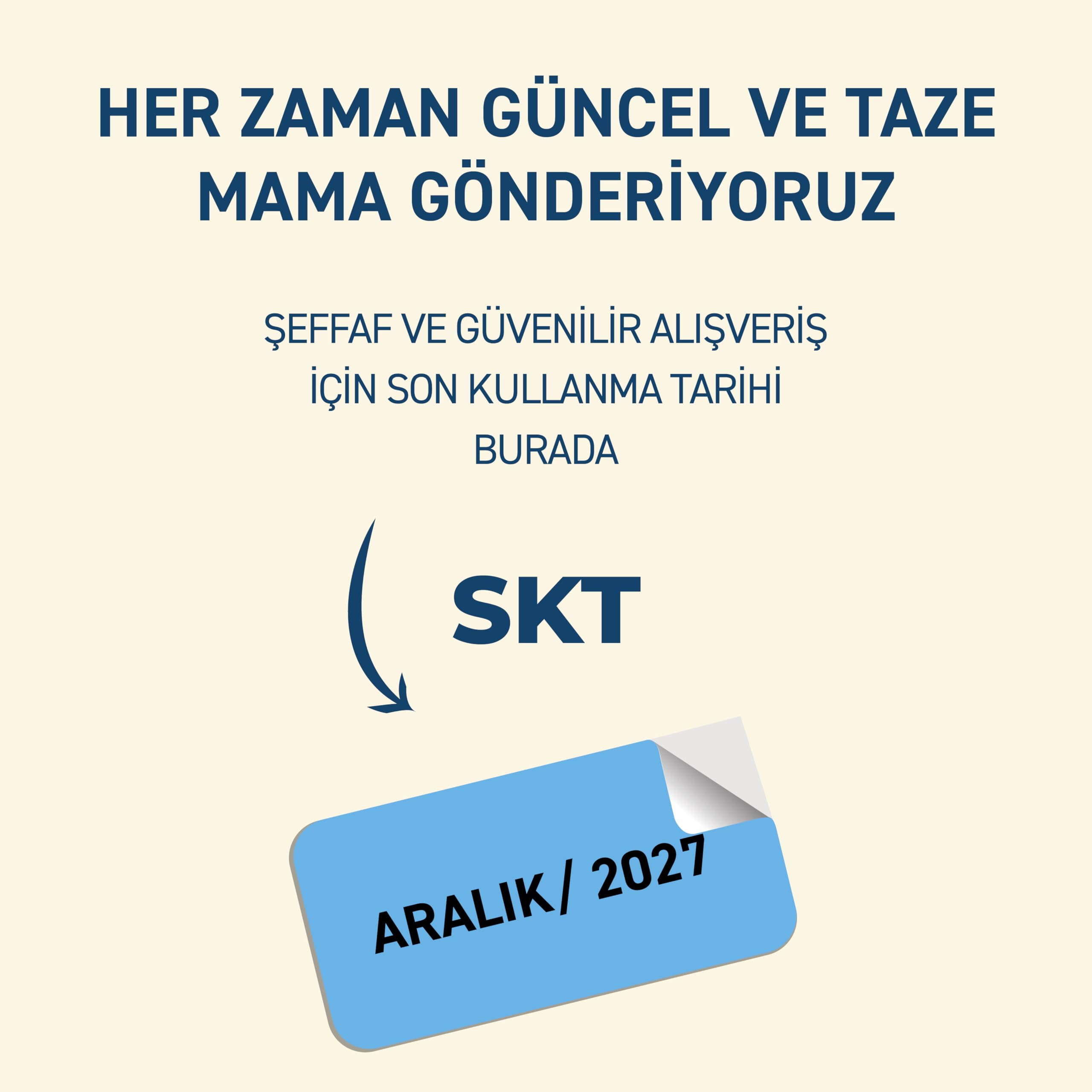 Petipure Kuru Yetişkin Kedi Maması - Besleyici Vitamin İlaveli Tam ve Dengeli Mama (1,2 Kg, Somon) (2 paketi)