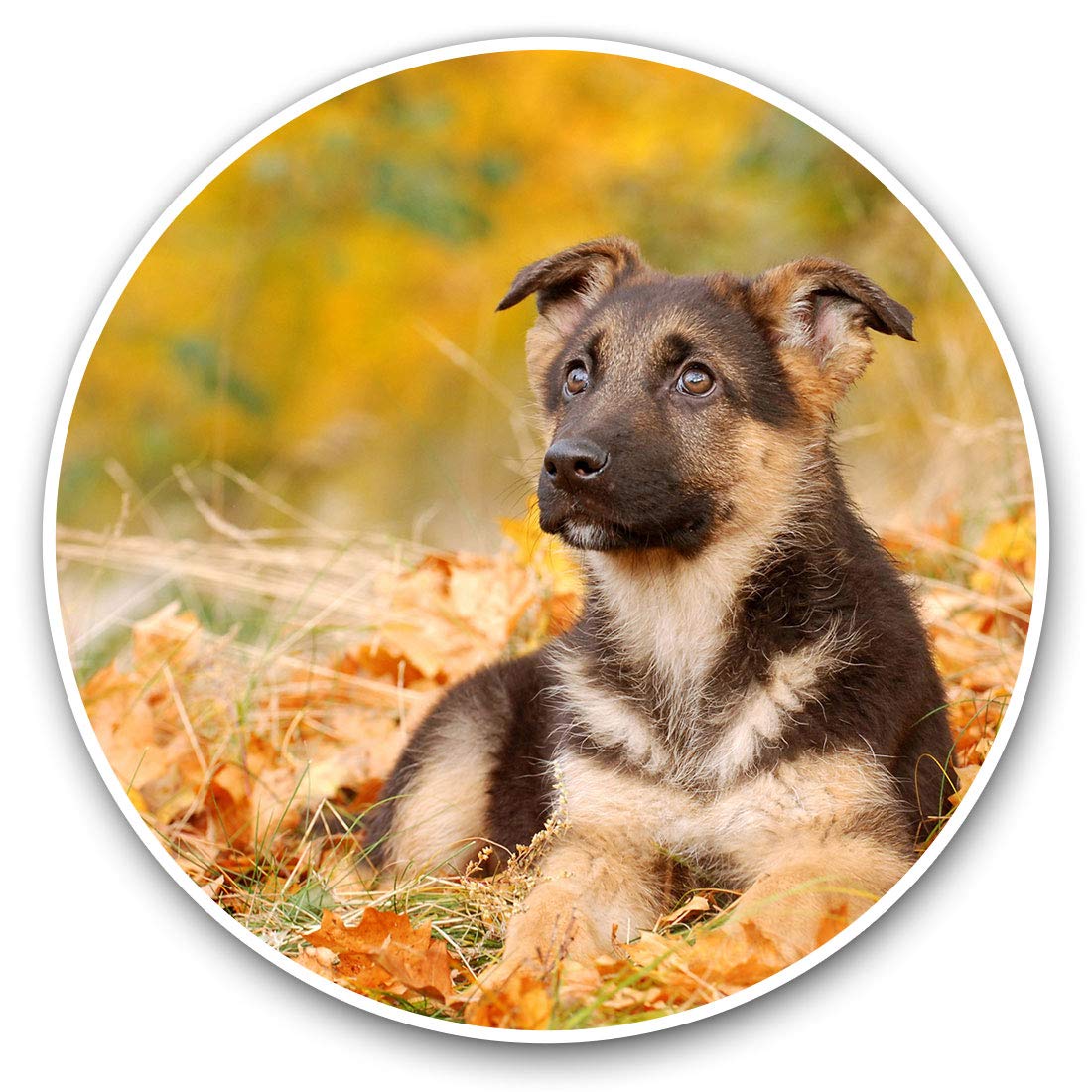 Destination Vinyl Ltd German Shepherd Puppy Animals Pets 8640 Vinyl Stickers (Set Of 2) 7.5Cm - German Shepherd Puppy Animals Pets #8640