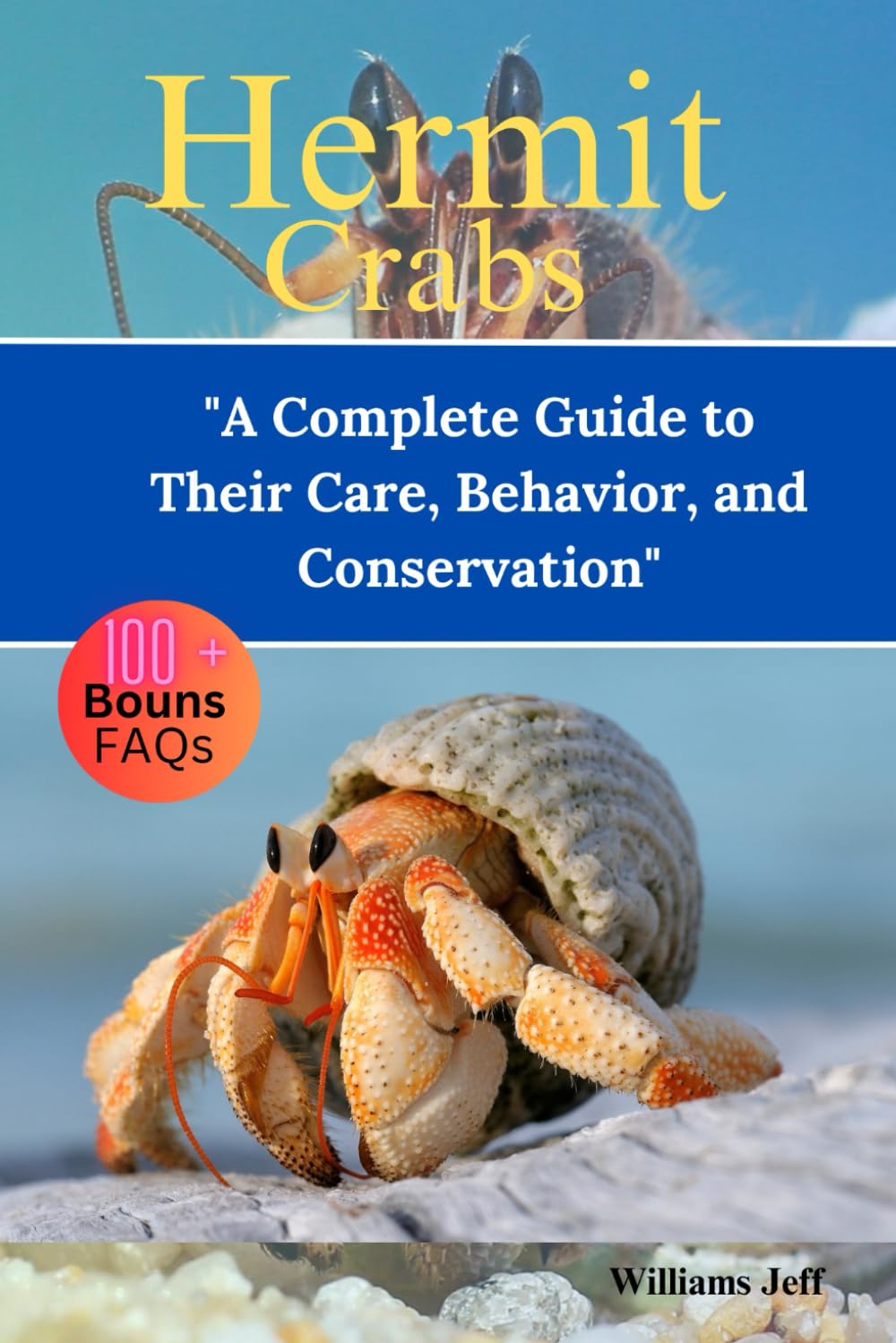 Hermit Crabs: "A Complete Guide to Their Care, Behavior, and Conservation"
