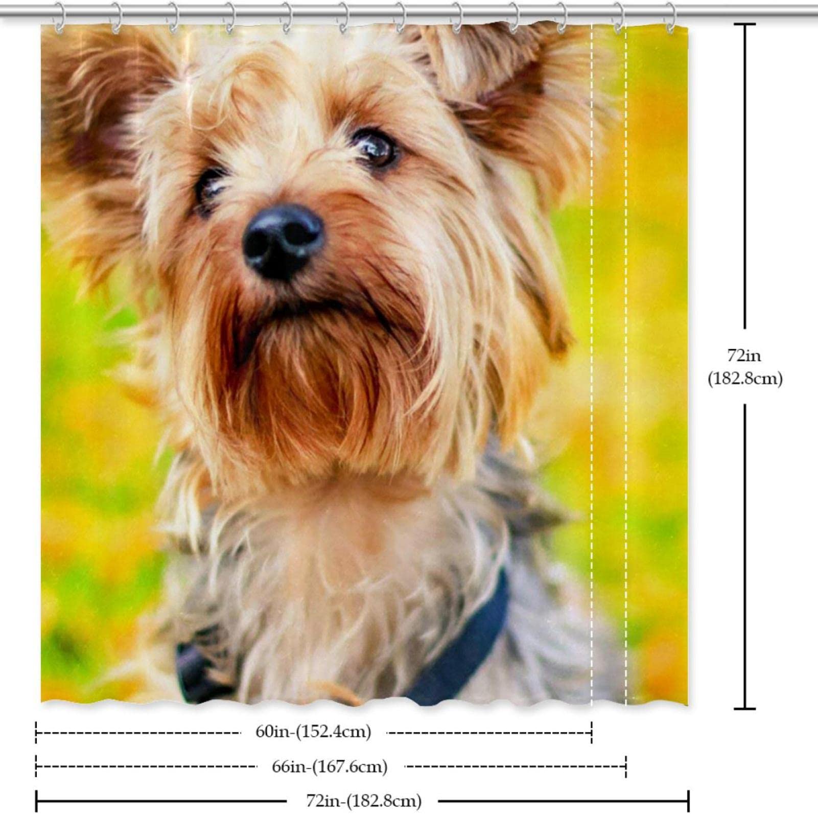 Tenda Da Doccia Con Yorkshire Terrier 152x182 Cm, Tessuto In Poliestere Impermeabile Con Ganci Inclusi