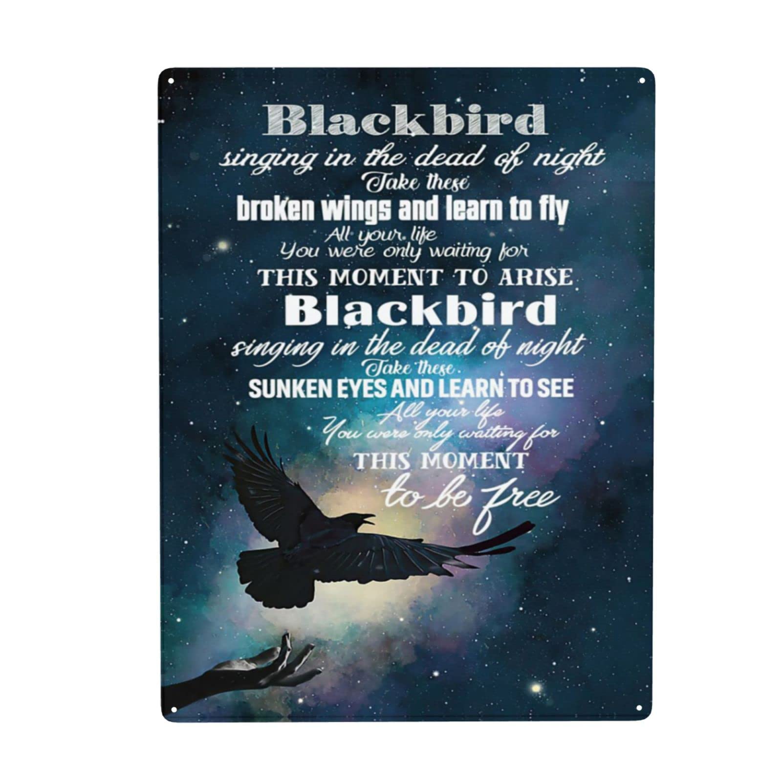 Homeoanimal Black Bird Singing In The Dead Of Night Take These Broken Wings And Learn To Fly Fleece Tin Metal Sign Wall Decor Fun Decoration For Home Kitchen Bar Room Garage Vintage Poster Plaque 12"X 16"