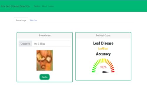 Leaf Disease Detection