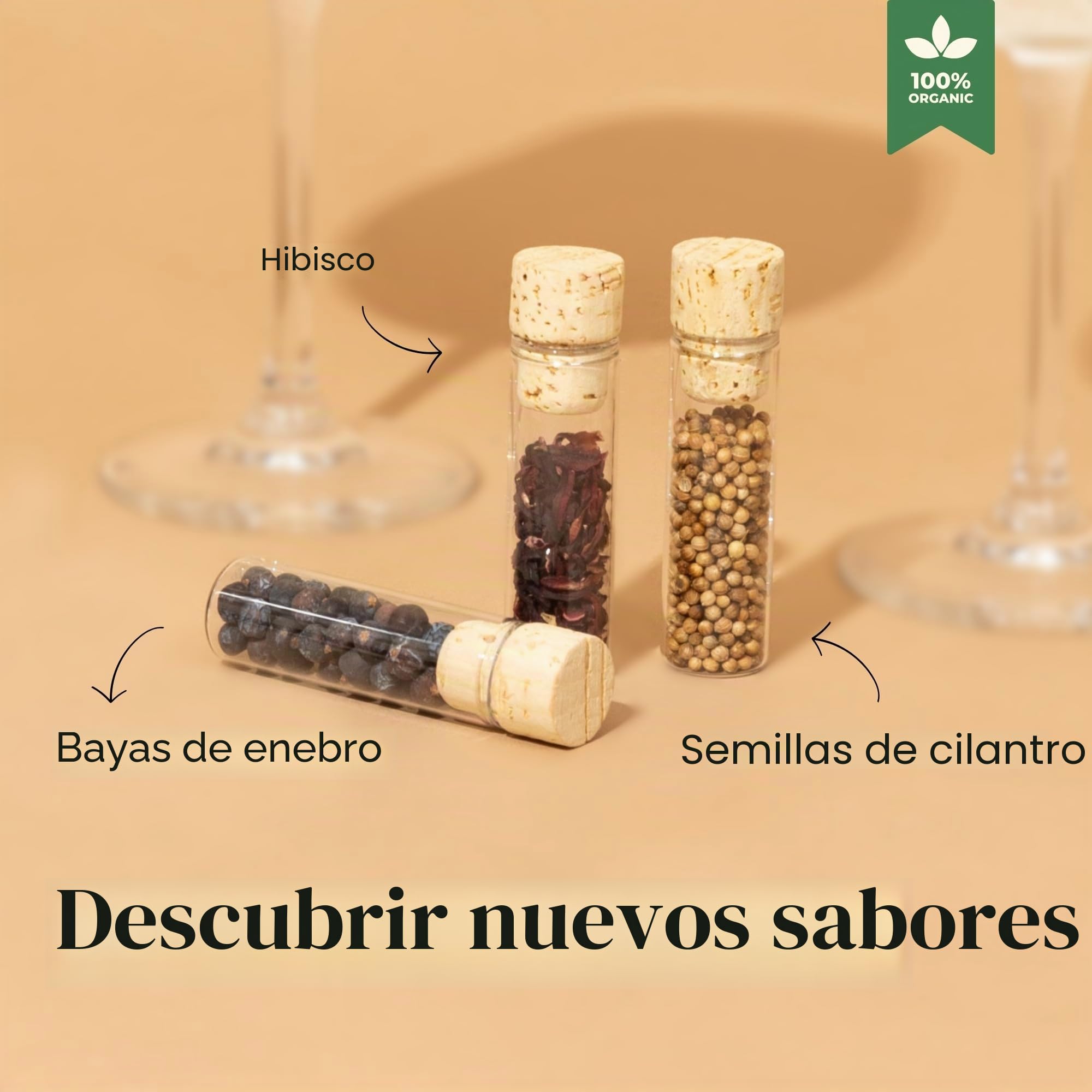 Set de Regalo Cocora Gin-Tonic | Juego de cóctel de 11 Piezas | Accesorios para Ginebra | Copas de cóctel Gin Tonic, Taza medidora, pajitas | Hierbas