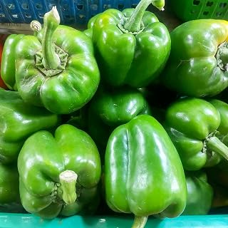 Fresh Green Bell Peppers, 2 Pounds
