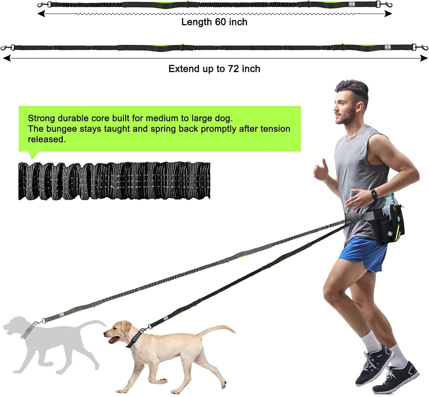 SHINE HAI Retractable Hands Free Dog Leash with Dual Bungees for 2 Dogs, Adjustable Waist Belt, Reflective Stitching Leash for Running Walking Hiking Jogging Biking Black - Green