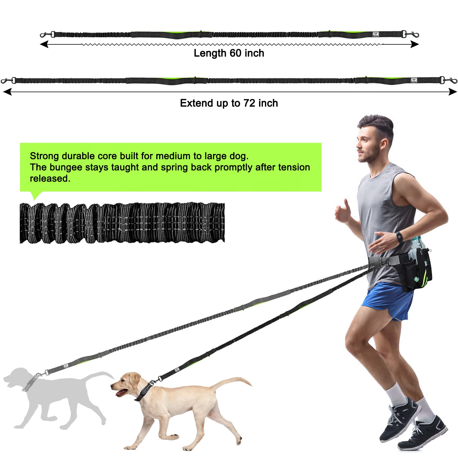 SHINE HAI Retractable Hands Free Dog Leash with Dual Bungees for 2 Dogs, Adjustable Waist Belt - Image 4