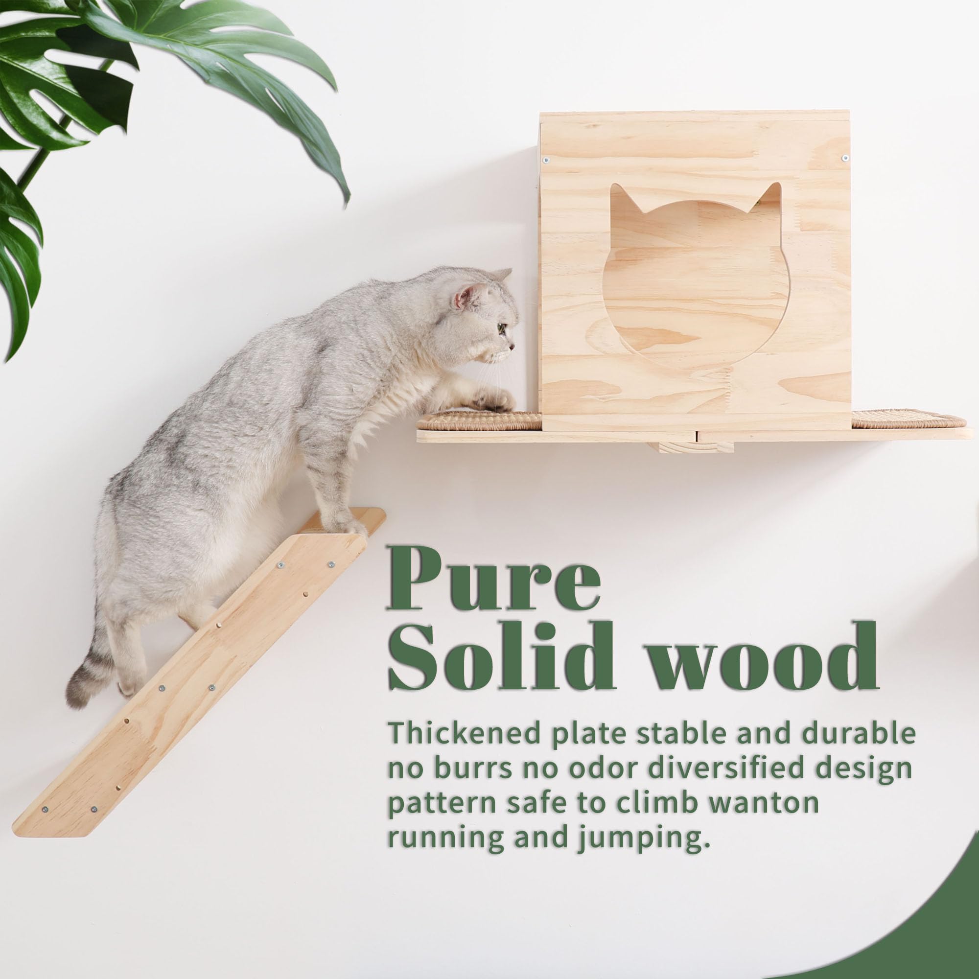 Set di mensole da parete per gatti, con casa, tiragraffi in sisal, gradini per arrampicarsi, in legno massello, per interni, design salvaspazio