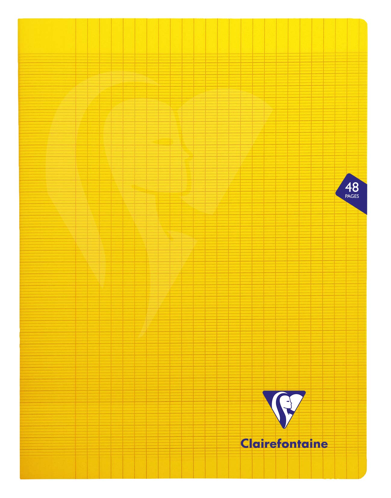 Clairefontaine 303311C Lot de 10 Cahiers Agrafés Mimesys - 24x32 cm - 48 Pages Grands Carreaux - Papier Blanc 90 g - Couverture Polypro Transparent - Couleurs Aléatoires