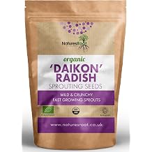 Nature s Root Organic Radish 'Daikon' Sprouting Seeds 250g - Radish Microgreens | Keto Superfood | Tasty Nutrition | Easy Sprouting | Non-GMO