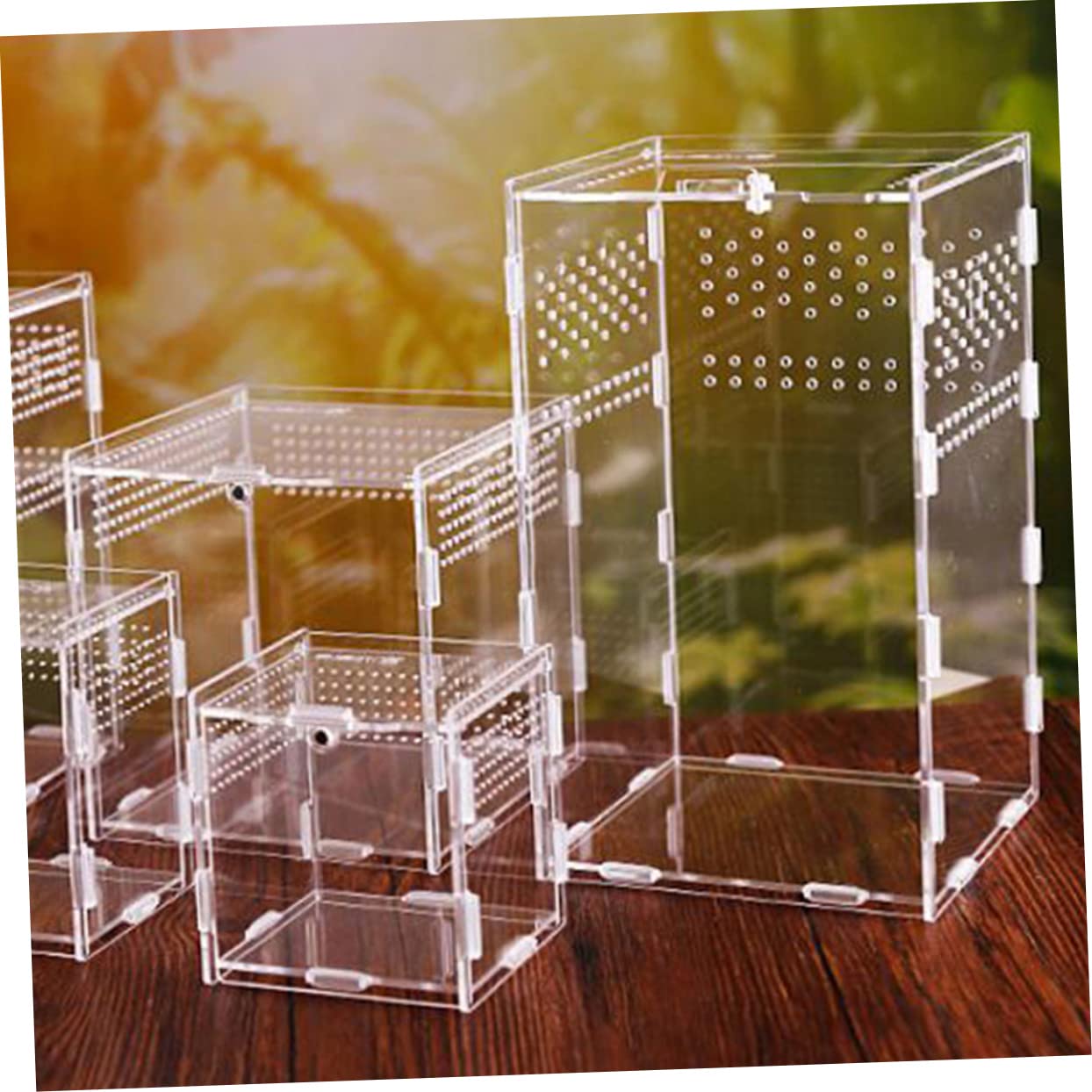 Durchsichtige Reptilien Zuchtbox aus Acryl mit Belüftungssystem | 360° Hohe Transparenz, zur Präsentation von Haustieren, für Schnecken und Vogelspinnen