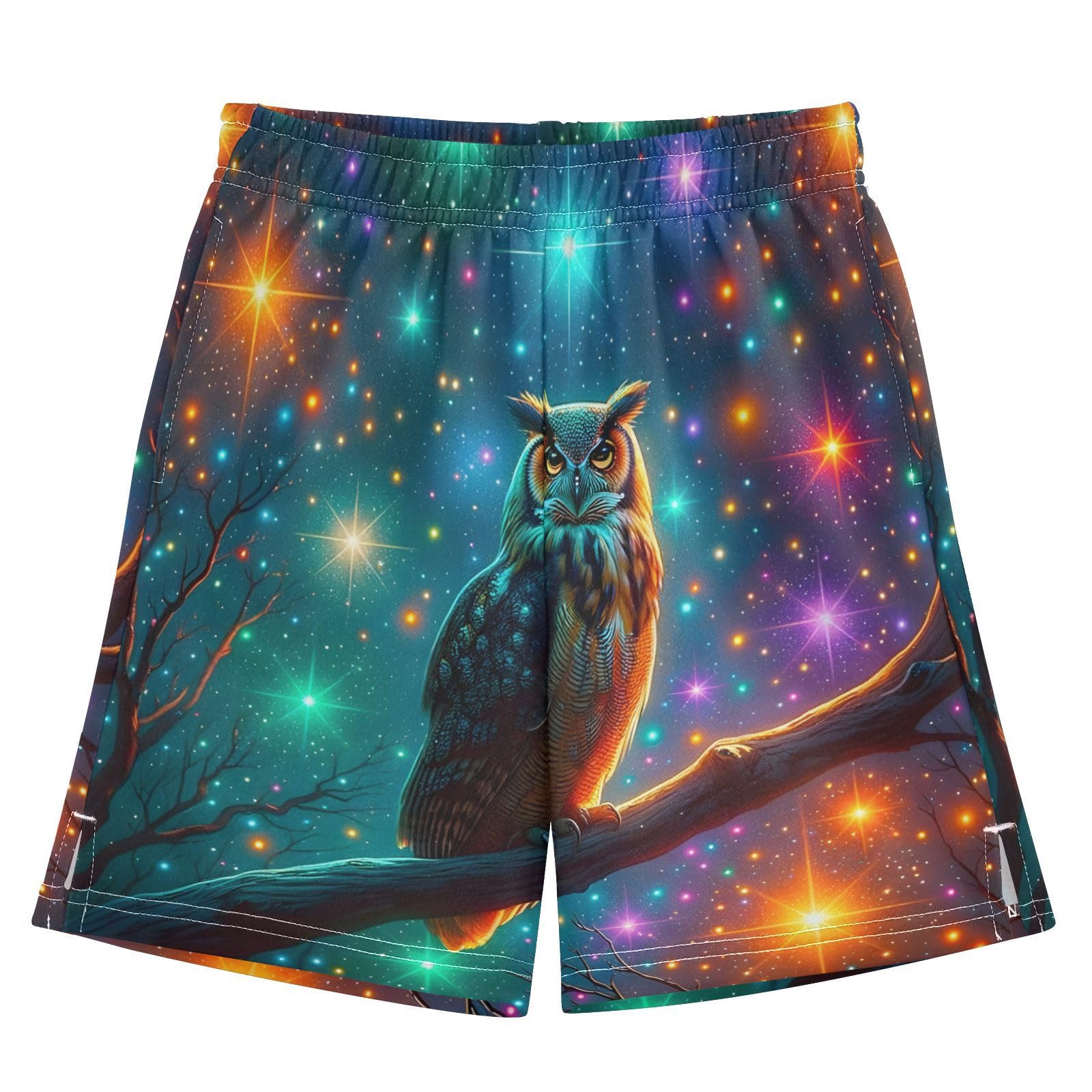 Owl on A Branch Night Boys Shorts Casual Athletic Short Summer Track Shorts 14-15 Y Multicolor