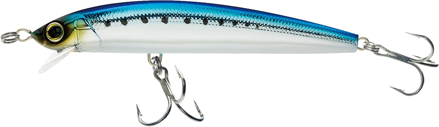 Yo-Zuri Hydro Minnow LC Floating Lure, 6", Mullet : Sports & Outdoors