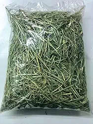 5 KG Feno Tifton 85 Verdinho para Porquinho da India e Roedores