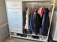 Review Image by Dalmatian mom Dalmatian mom