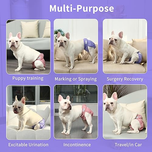 Miniatura 3 de JoyDaog Pañales para perras pequeñas, paquete de 4 pañales reutilizables de alta calidad para el vientre de cachorros, talla XS