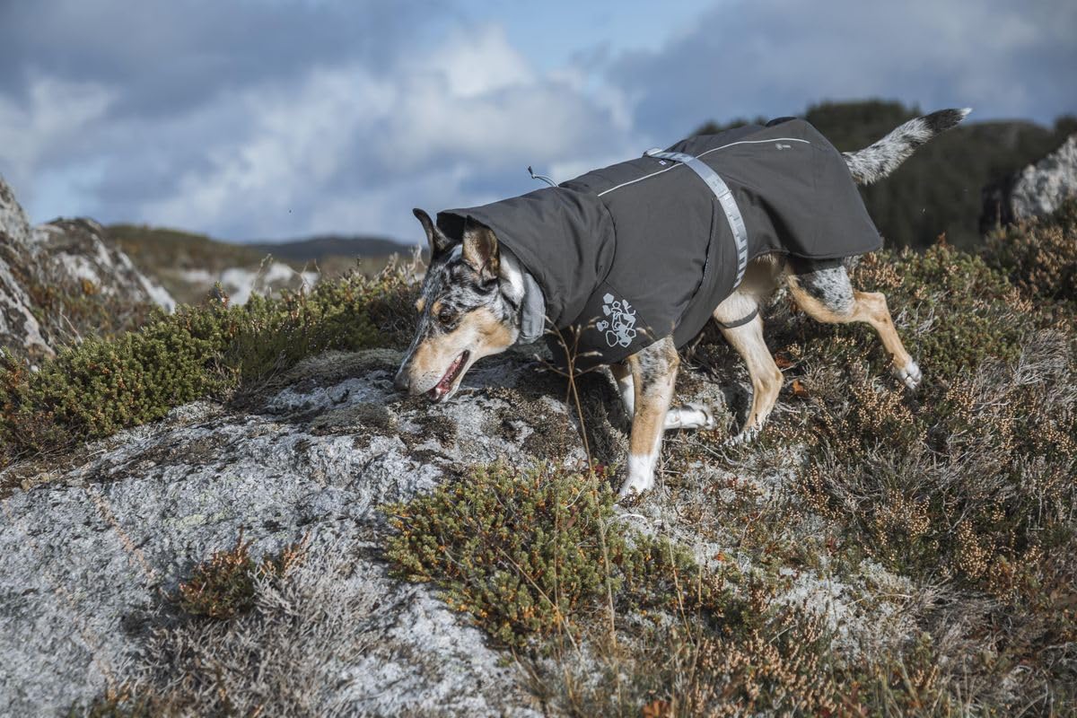 Hurtta Extreme Warmer Hundemantel, Winterjacke für Hunde, Brombeere 60 cm