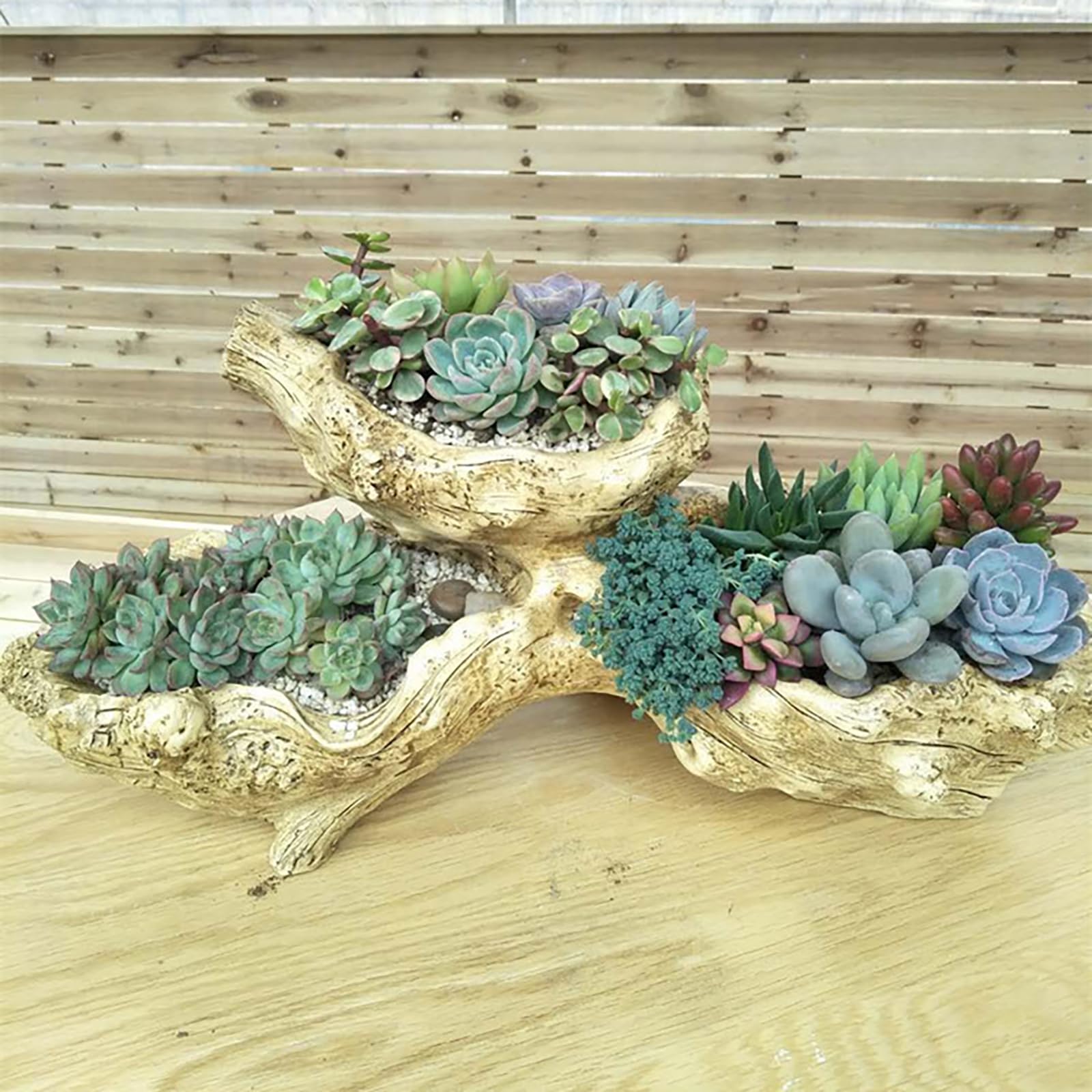 PANGBOER Vasi da fiori decorativi in cemento con radice di albero naturale estetica per bonsai e appassionati di interni ed esterni, decorazione da giardino
