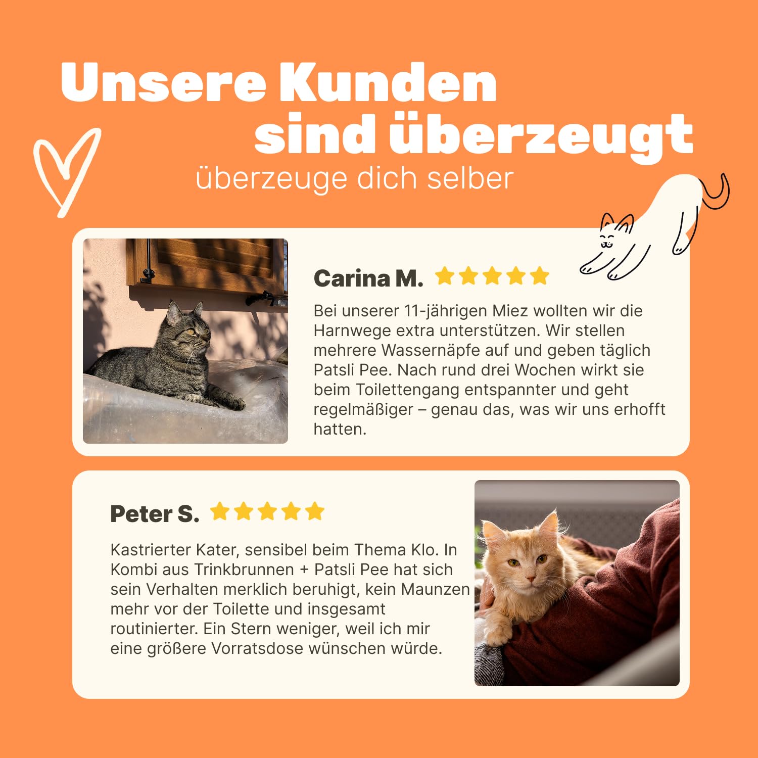 6-in-1 Nieren- & Blasen-Komplex für Katzen | Unterstützt Harnwege & Nierenfunktion | Nierendiät Katze | Mit Cranberry & Hagebutte | Renal Tonicum für Katzen | Tierärztlich entwickelt | Patsli Pee