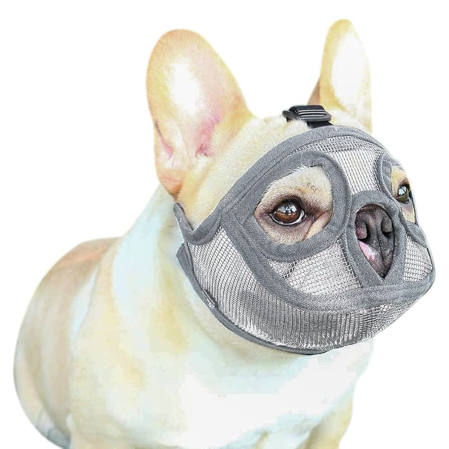 ハンドメイド パグ(?) フレンチブルドッグ(?) 鼻ペチャ犬 陶器製プレート ハンドメイド パグ(?) フレンチブルドッグ(?) 鼻ペチャ犬 陶器製