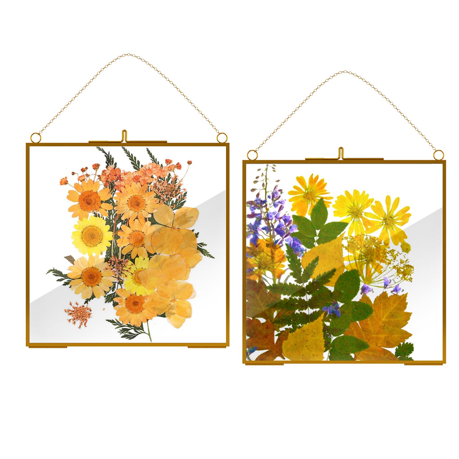 2 Pcs Hanging Double Glass Picture Frame for Pressed Flower 9 x 9 Inch Large Vintage Gold Floating Photo Frame Clear Glass Artwork Display Frame for Dried Plant Gallery Wall Decor DIY Home Wall Art