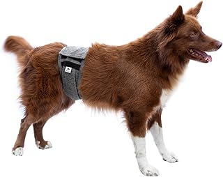 Protetor de Fralda Cinza para Cães Machos - Tam 4 Cintura 42 a 50cm - Pet Designer