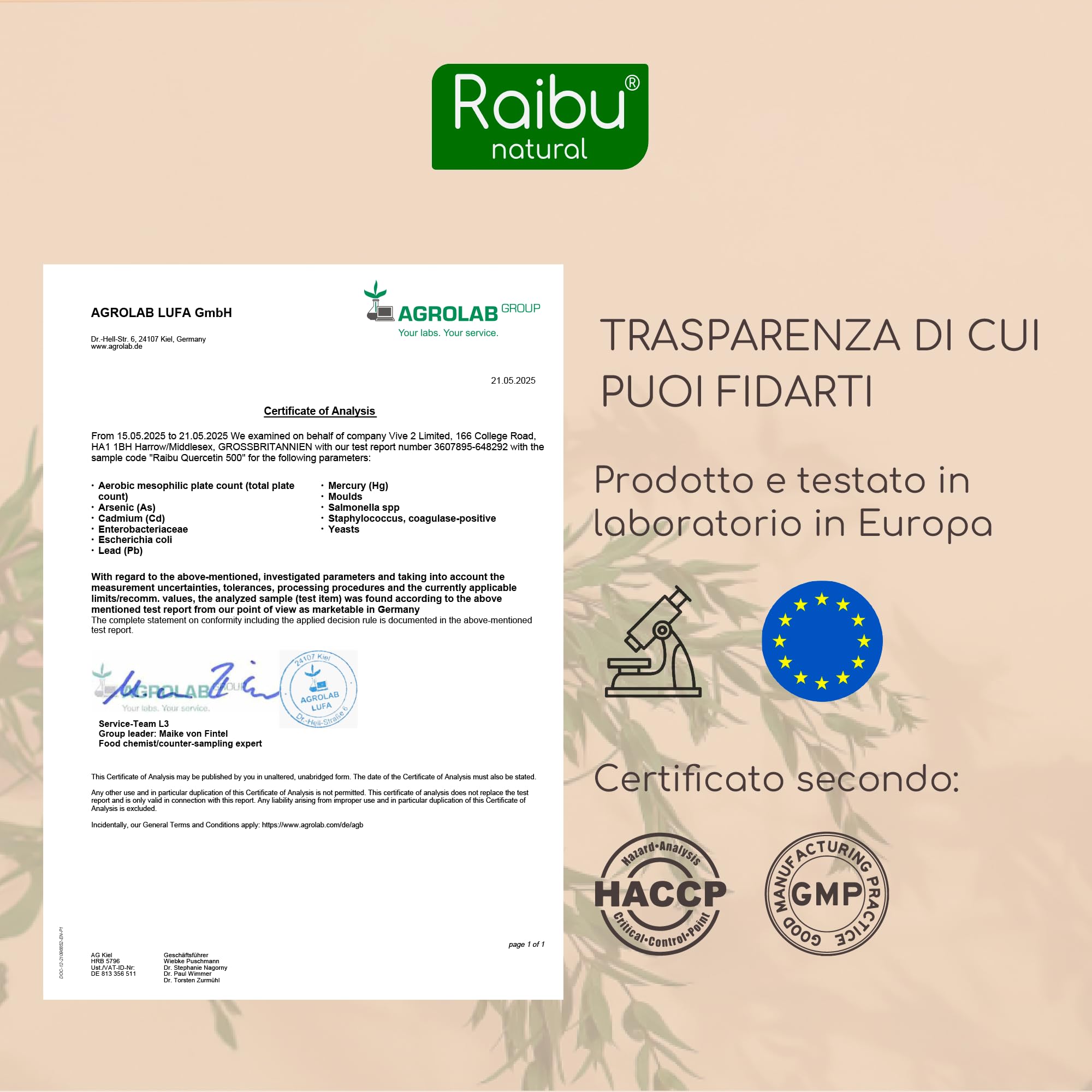 Quercetina 500 mg Pura – 180 Capsule (6 MESI di Fornitura) I 95% di Contenuto di Quercetina I Estratto di Sophora Japonica I Integratore di Flavonoidi I Testato in Laboratorio e Vegano, Raibu