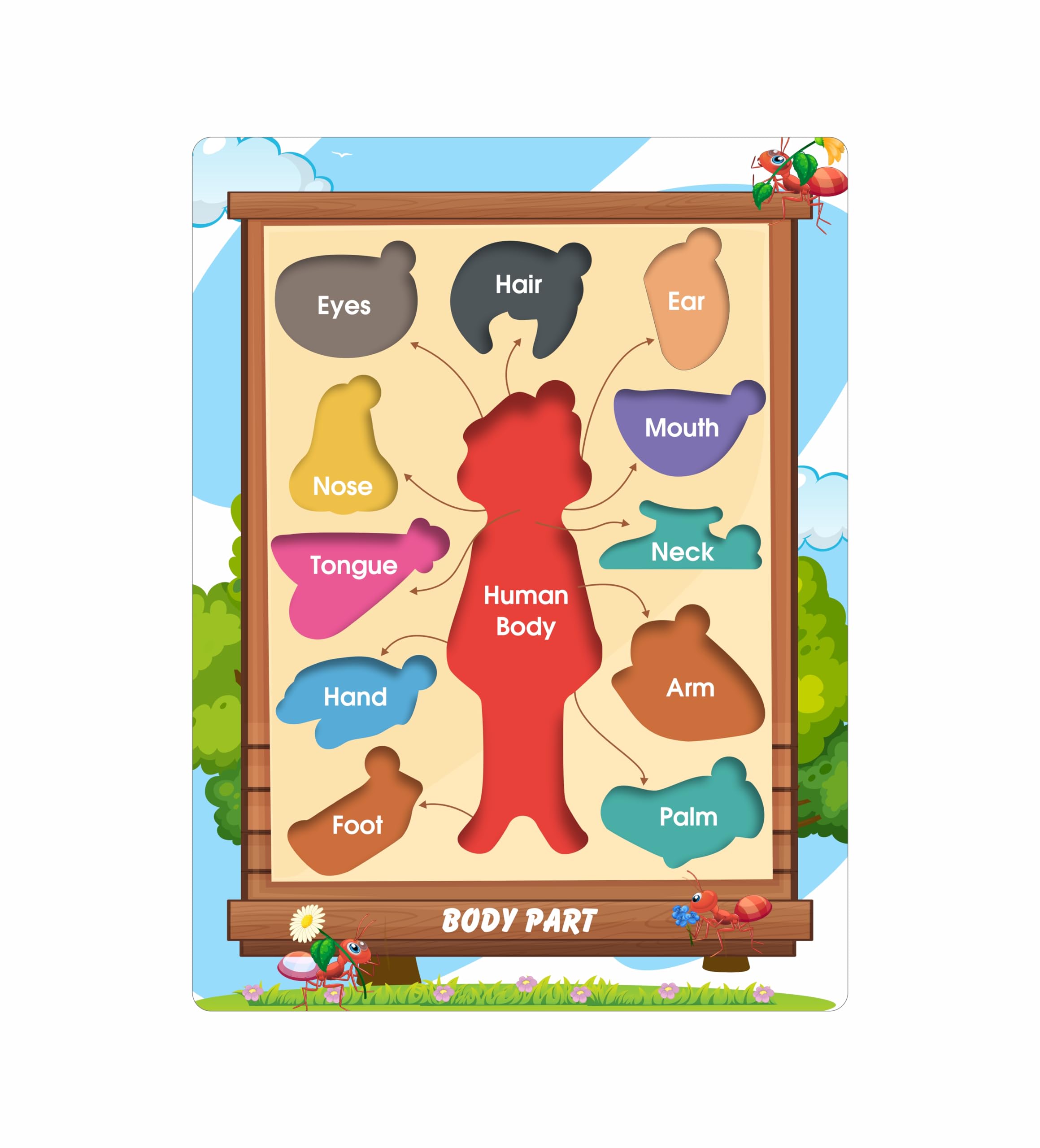 CRAFTICK Body Parts Puzzle Learning Toy for Kids | Pre-School Birthday|Return Gift Educational Board for Kids Set of 1 Multicolor - Image 3 thumbnail