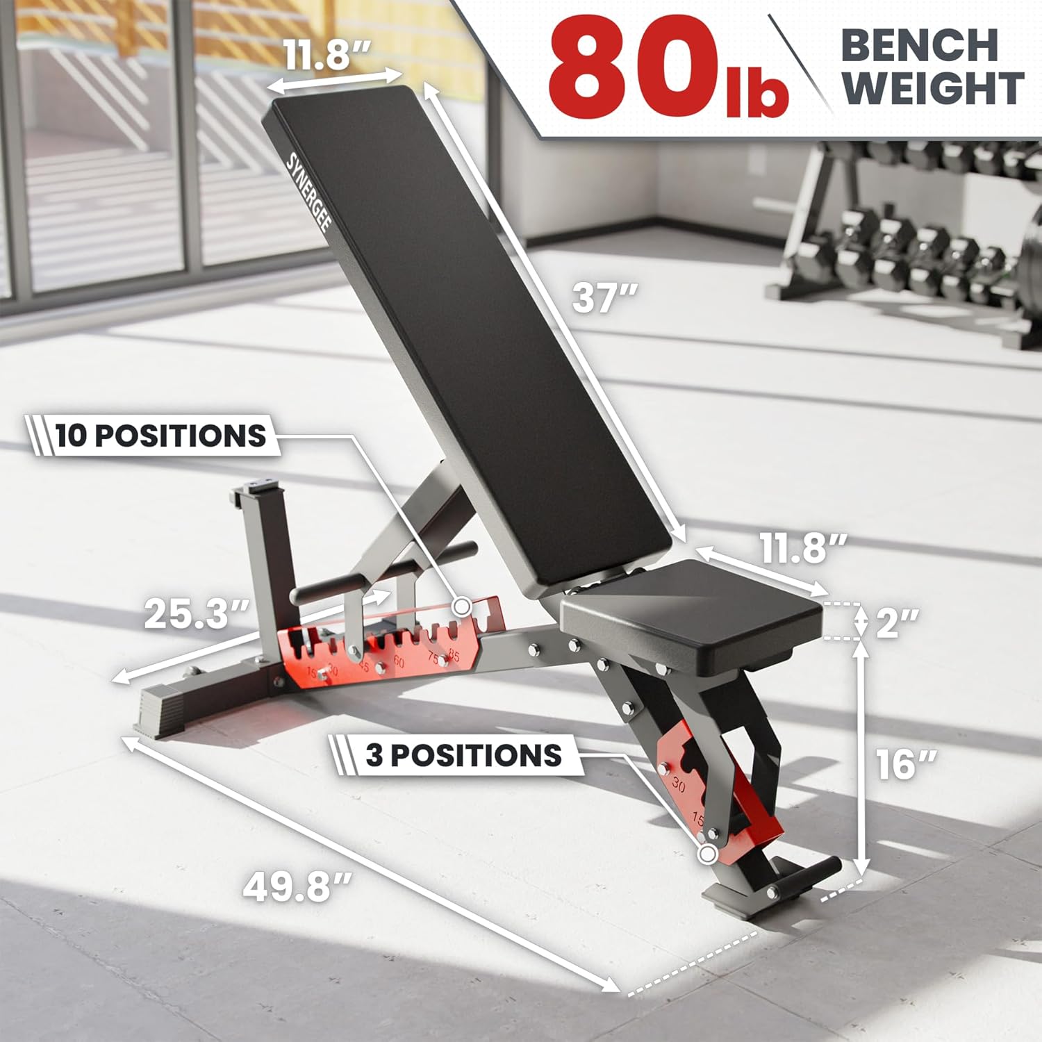 Synergee Adjustable Wing Back Workout Bench. Weight Bench for Dumbbell & Barbell Press Exercises & Workouts. Great for Commercial, Garage and Home Gym.