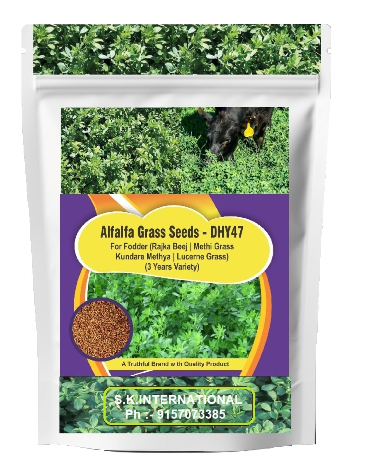 SK Organic Multicut Fodder Grass Seeds, Alfalfa/Lucerne/Kundare Methya/Rajka, 3 Years Variety, High Yield, High Protein (3KG)-image-45