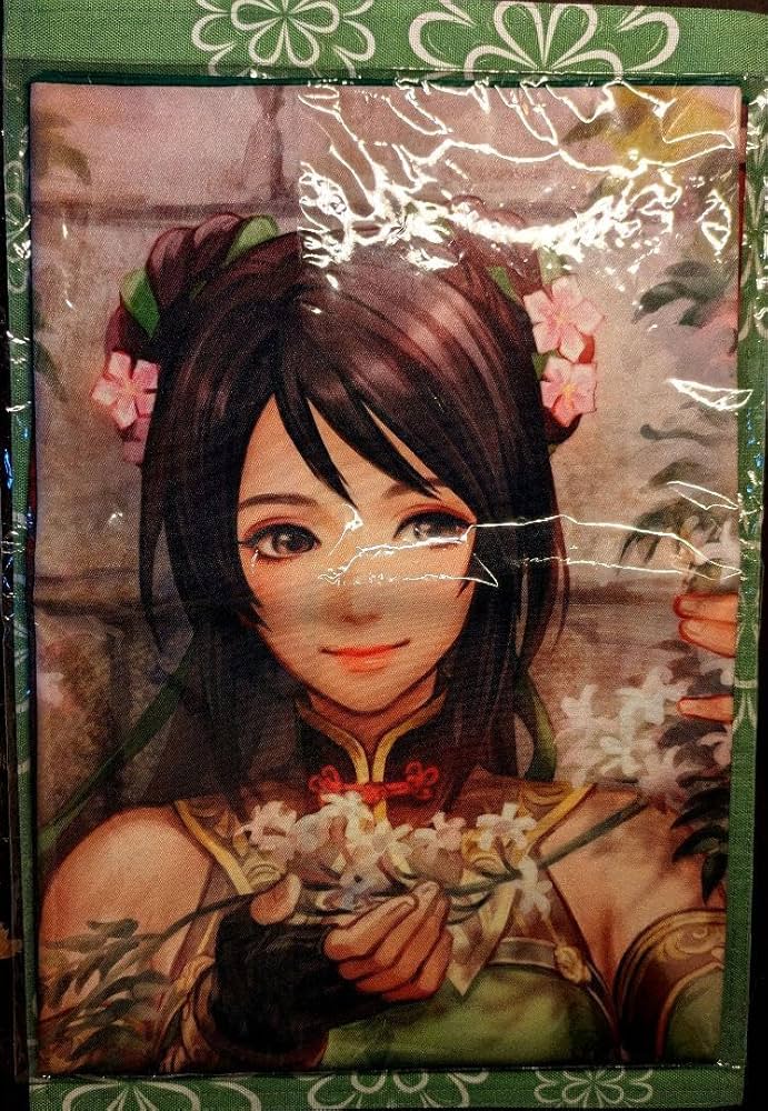 三國無双　布ポスター Amazon.co.jp: 三國無双 布ポスター 法正 : ホーム＆キッチン