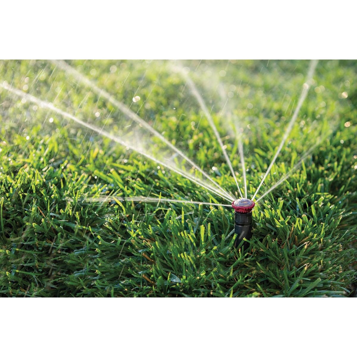 Rain Bird 24RNFPRO High-Efficiency Pro Rotary Spray Nozzle, 360° Full Circle Pattern, 17' - 24' Spray Distance